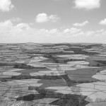 http://www.99flavortaste.com/files/gimgs/th-16_voronoi_field1_cropBW.jpg