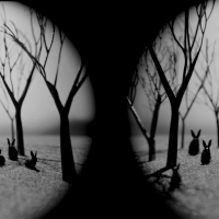 http://www.99flavortaste.com/files/gimgs/th-22_rabbits_stereo_neg03_31_22.jpg