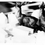 http://www.99flavortaste.com/files/gimgs/th-4_deer_cats_coffins_small.jpg